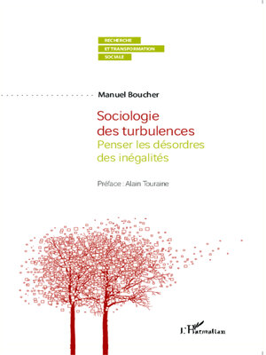 cover image of Sociologie des turbulences